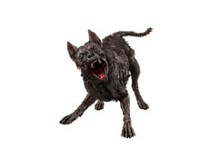 3D Rendering Of A Fierce Zombie Dog In Aggressive Pose Isolated On White Background.