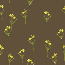Seamless Floral Pattern With Blooming Branches Of Star Of Bethlehem Flower. Gagea Lutea. Seasonal Spring Motif. Yellow Spring Wildflowers And Green Leaves On Brown Background.