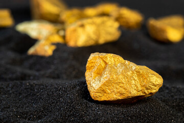 Poster - Pure gold from the mine that was unearthed was placed on the black sand