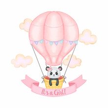 Cute Panda On Pink Hot Air Balloon Baby Gender Reveal. Watercolor Style Vector