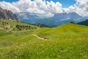 Wall Mural - blooming alpine meadow with hikers in a beautiful mountain landscape