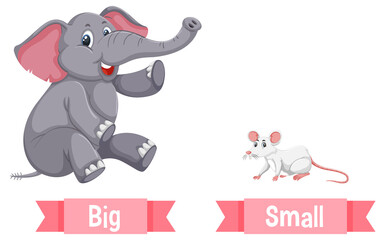 Poster - Opposite English Words big and small