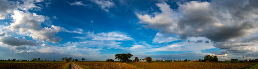 Wall Mural - panorama blue sky and dark clouds over summer fields.fluffy cloud in the blue sky background.vivid s