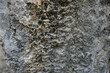 The texture of limestone rock is eroded by acid and rain.