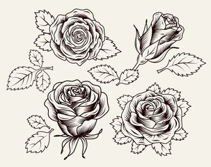 Wall Mural - Clip art with lush blooming roses and leaves. Single flowers and half-blown bud. Engraving vintage style. Isolated monochrome vector illustration black on white.