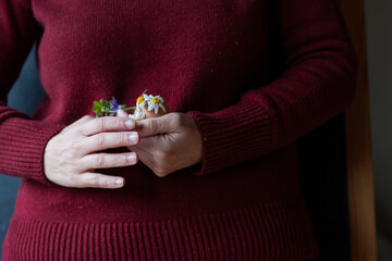 Poster - huevo con flores en la mano