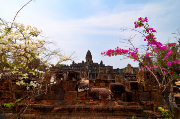 Angkor Wat temple complex, Cambodia. Beautiful view of ruins of ancient Bakong temple and blooming trees