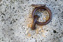 A Rusty Old Metal Ring Concreted In A Wall