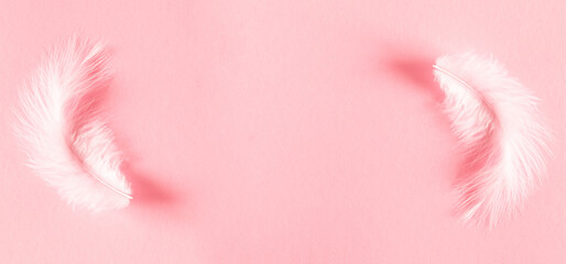 Wall Mural - white feathers on pastel pink background. flat lay, top view, copy space