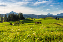 Panoramic View Of Beautiful Sunny Landscape In The Alps With Fresh Green Meadows
Field In The Front And Mountain Tops In The Background With Blue Sky And Clouds, Bavaria, Allgäu,seeg
