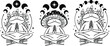 Meditating Celestial Frog, Magic toad with moon, Frog in mushroom hat, Celestial toad, Witchy frog with moon phases