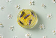© Cristina - Botote de ambientador natural con limones y lavanda, flores de cerezo de fondo con ambiente primaveral