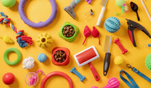 Pet Care Concept, Various Pet Accessories On Yellow Background , Flat Lay