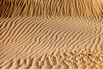 Natural pattern of the sand dune in the desert in Abu Dhabi. Closeup abstract texture.