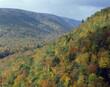 © SuperStock - Hillside at Cape Breton Highlands National Park, Cape Breton Island, Nova Scotia, Canada