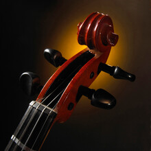 Close-up Of The Tuning Pegs Of A Violin