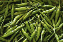 Close-up Of A Heap Of Green Chili Peppers