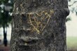 © SuperStock - Close-up of a heart carved on a tree trunk