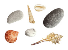 Set Of Different Seashells And Stones Isolated