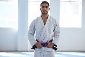 Poster - Im almost at the top. Cropped portrait of a handsome young male martial artist standing with his hands on his belt in the gym.