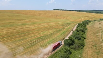 Wall Mural - Aerial view of lorry cargo truck driving on dirt road between agricultural wheat fields. Transportation of grain after being harvested by combine harvester during harvesting season