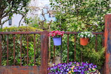 鉄製の錆びた門に飾られた花