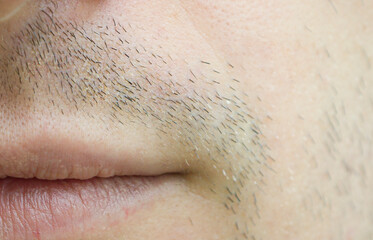 Wall Mural - facial hair extreme close-up