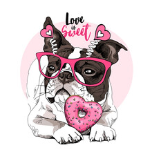 Card Of A Valentine's Day. Chilling Funny Boston Terrier Dog In The Pink Glasses With Hearts And With The Donut. Humor Card, T-shirt Composition, Hand Drawn Style Print. Vector Illustration.