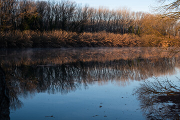 Wall Mural - Leafless tree branches reflected on a quiet flowing creek river landscape on a winter cold morning