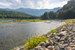 Bank of the Chemal River in Altai