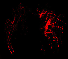 Wall Mural - overlay the blood effect. a collection of blood isolated on a black background. blood elements as de