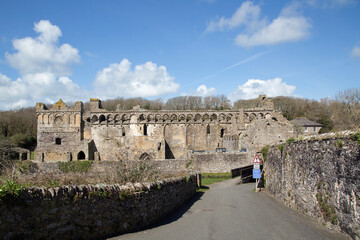 Wall Mural - Ruins of the medieval Bishops Palace in St Davids - Wales