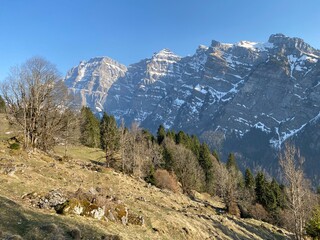 Wall Mural - Mixed subalpine forests and a variety of trees in early spring on the slopes of the alpine mountains around the Klöntal mountain valley (Kloental or Klon valley) - Canton of Glarus, Switzerland