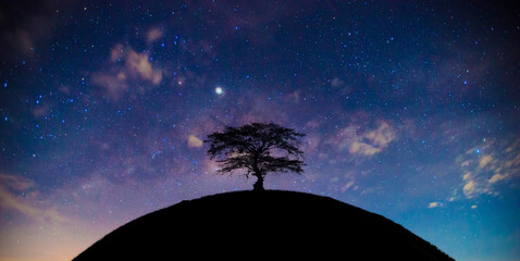 Wall Mural - silhouette of a large tree , towering over the arc of earth , on milky way background.