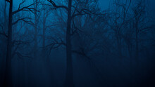Ghostly Halloween Forest Scene At Night.