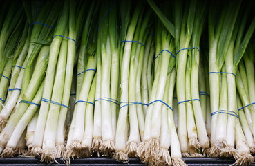 close up fresh green onion in grocery store