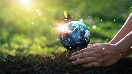 Wall Mural - earth day and environment concept, hands of human protect blue earth and flying butterfly on green m