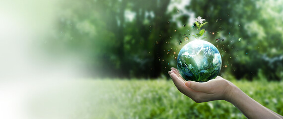 Wall Mural - earth day and environment concept, hands protect blue earth and white flower with flying butterfly o