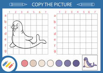 Poster - Copy draw of cute seal. Kids drawing lesson. Children education riddle. Activity page and worksheet with fun and game.