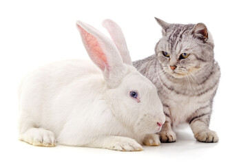 Sticker - Cat and rabbit.