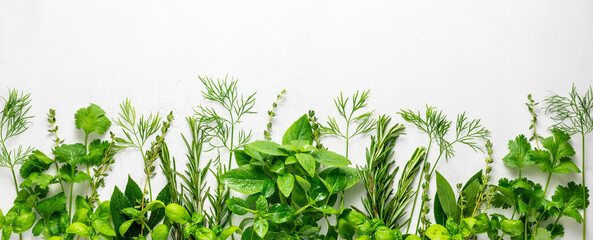 Various fresh herbs arranged in a frame. Cooking concept with spices garden herbs. Healthy food.Top view.