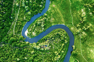 River in the meadows