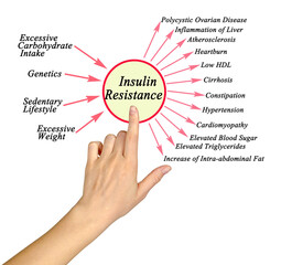 Sticker - Causes and consequences of Insulin Resistance