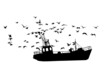 Fishing ship isolated on white background. Fishing boat with many seagulls. Side view of commercial trawler. Industrial seafood production. Black fishing barge icon. Fishermen vessel in ocean. Vector
