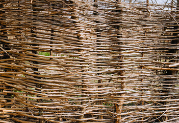 Background, texture from the branches of a tree of an intertwined vine in the form of a protective fence.