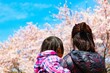 春の桜と親子