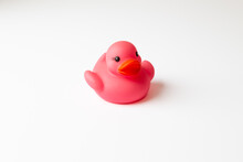 Pink Rubber Duck Isolated On A White Background