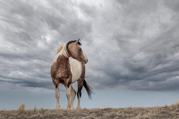 Wall Mural - Approaching storm