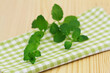 Fresh mint leaves on checkered kitchen cloth 
