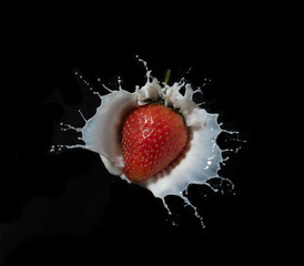 Wall Mural - red strawberry fruits falling into the milky splash on black background